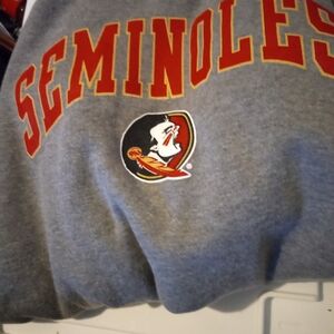 Florida State Seminoles (FSU) Gray Men's MEDIUM hoodie Hooded Sweatshirt NCAA